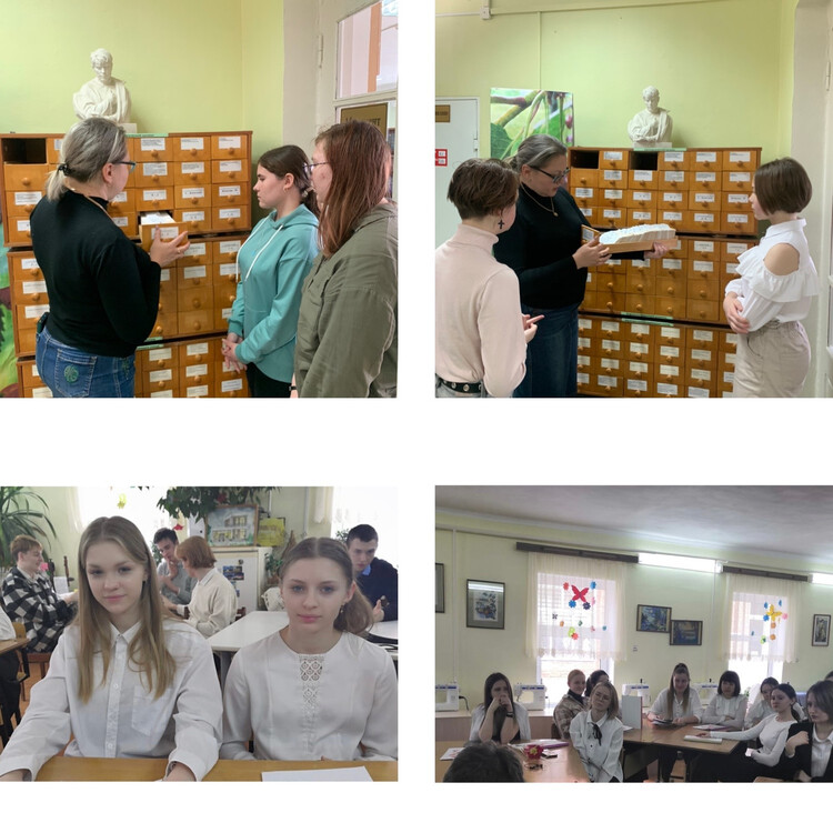 Инструменты поиска библиотечной информации: каталоги, картотеки, индекс