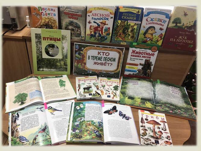 Кто в тереме лесном живёт?