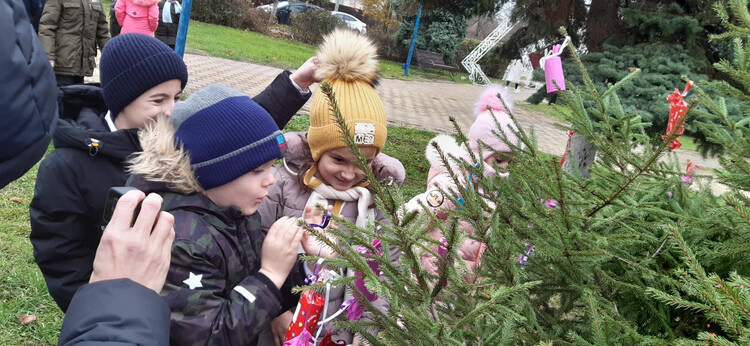 День ёлки с варежками