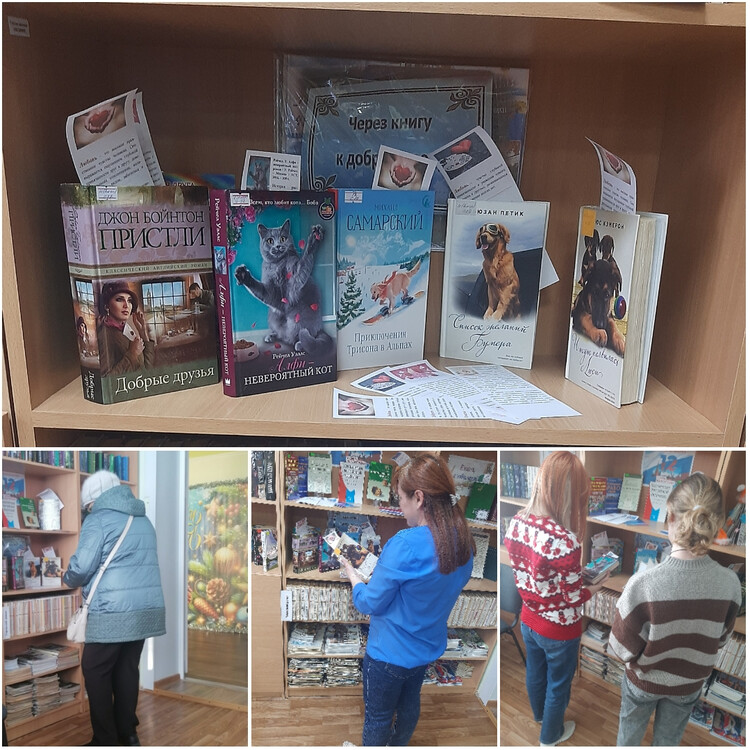 В мире света и счастья