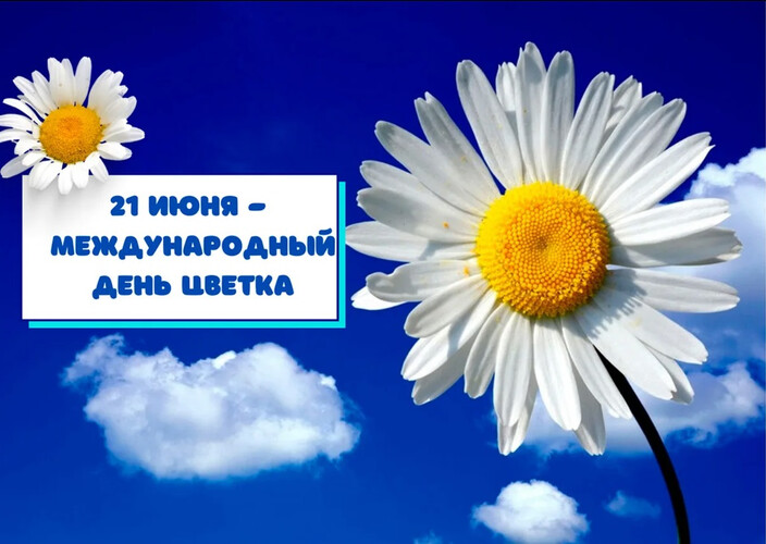Фестиваль цветов и красок