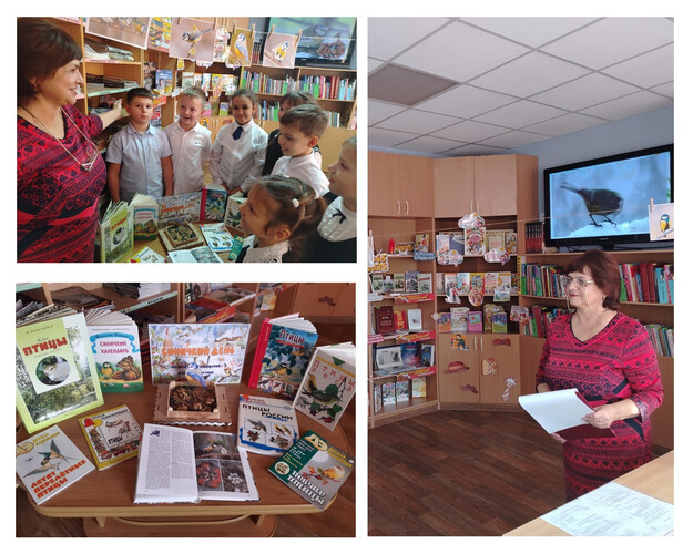 О птицах-синицах