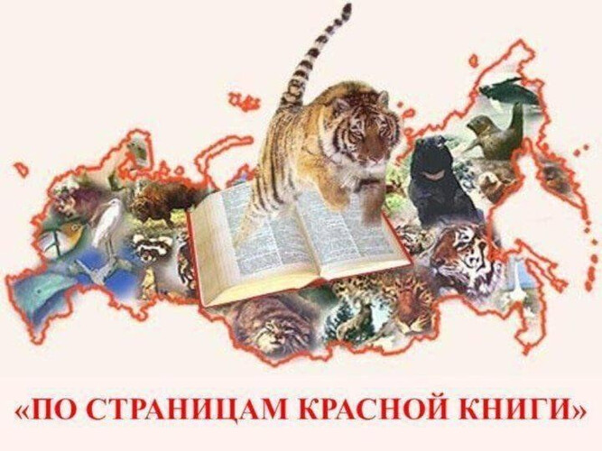 Исчезающая красота - по страницам красной Книги