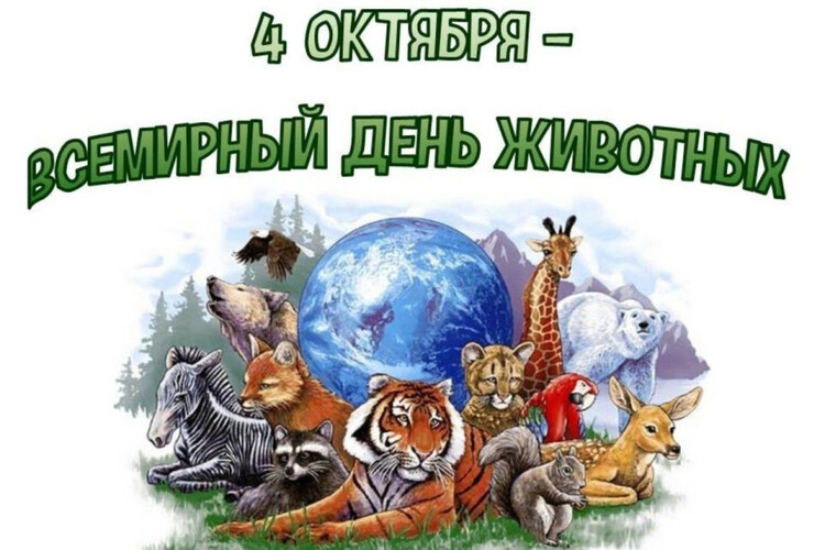 Животные – рекордсмены