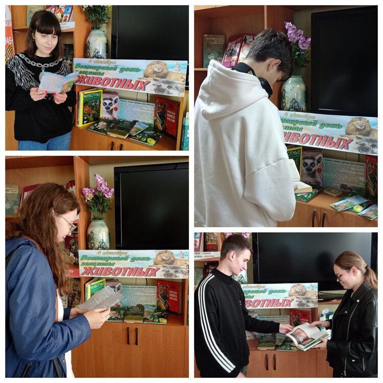 Животные – рекордсмены