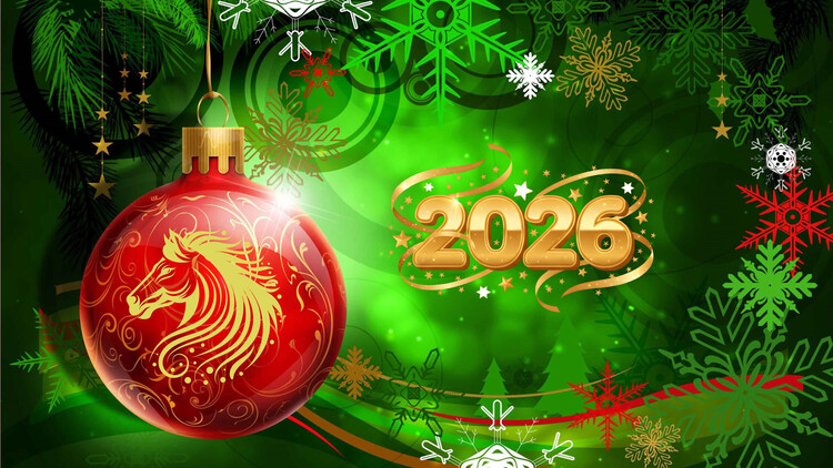 Забавы у новогодней ёлки!